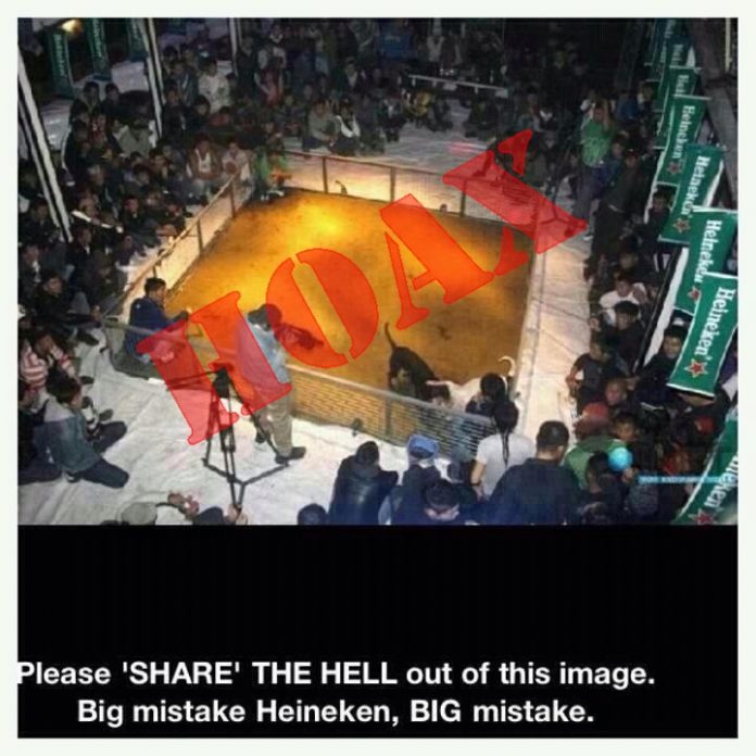 943317_4920641730925_354142307_n