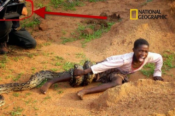 NatGeoSnake