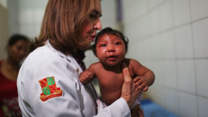 Brazil Faces New Health Epidemic As Mosquito-Borne Zika Virus Spreads Rapidly