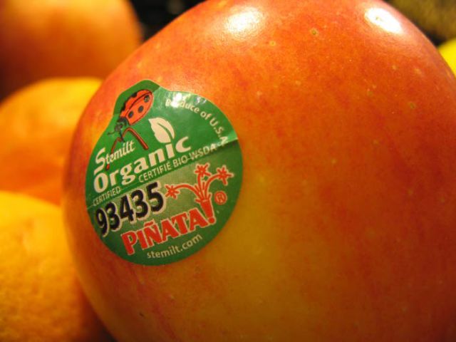 2010-02-23-plucodesgmoorganic