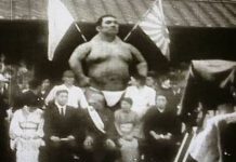 γίγαντας πουλί blog