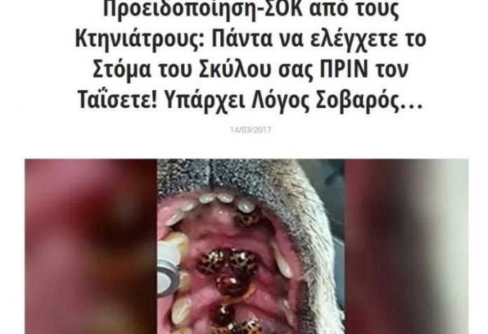 Καταγραφή