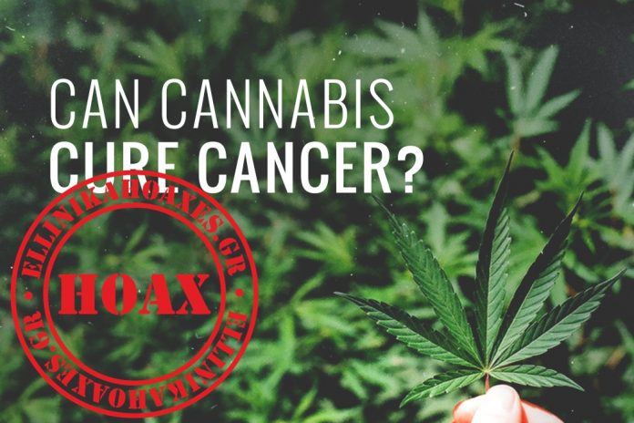 can-cannabis-cure-cancer