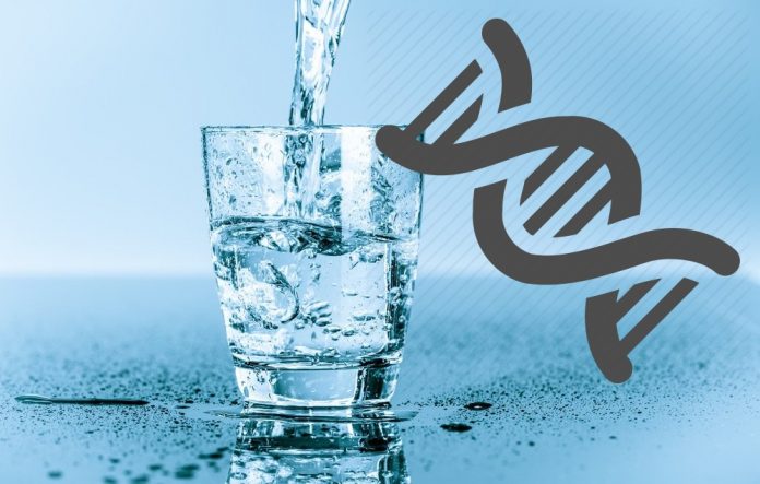 waterglass