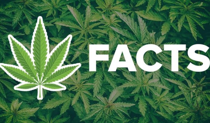 medical-marijuana